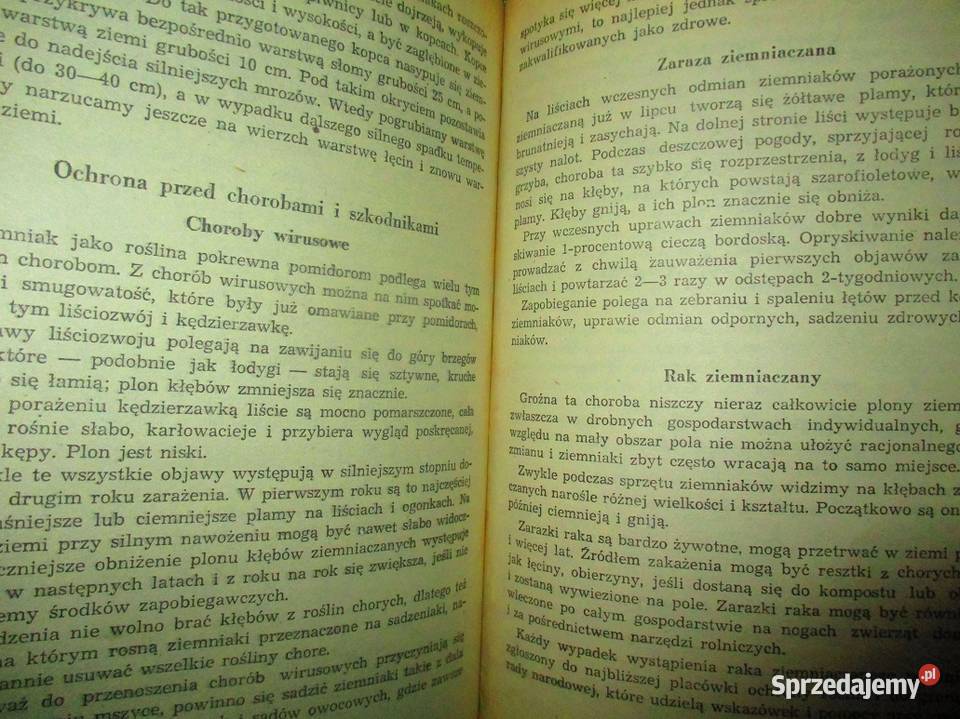 Poradnik ogrodniczy ogród działka uprawa Łódź
