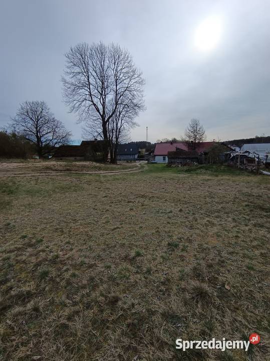 Działka rolna Przeradz gmina Grzmiąca zachodniopomorskie