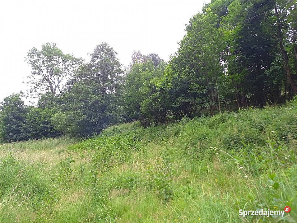 Dom wolnostojący Walim 200m2