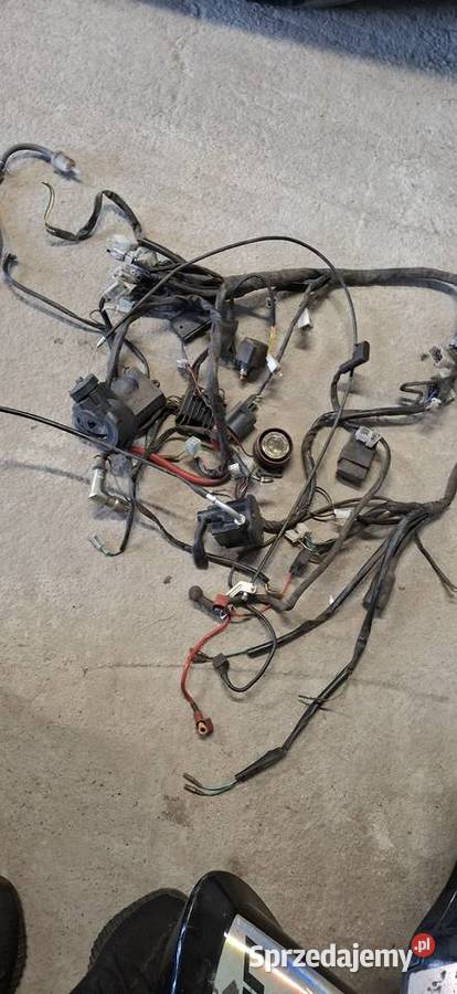 Silnik 250cc z całą elektryka Pozostałe Wodzisław Śląski