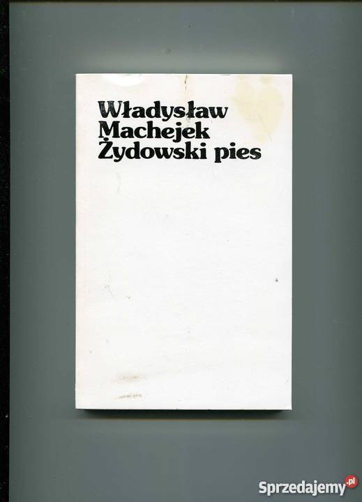 Żydowski pies Szczecin sprzedam