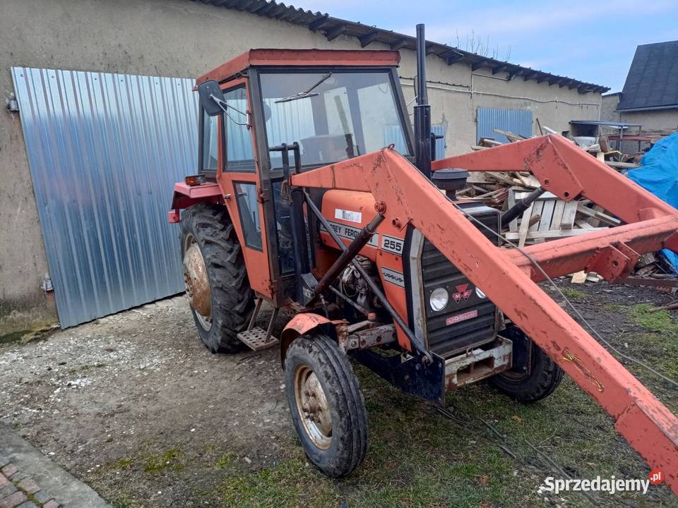 Massey Ferguson 255 z turem kujawsko-pomorskie Radzyń Chełmiński