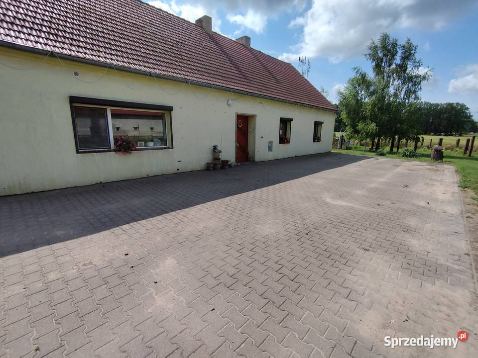 Sprzedam dom z 37arową działką Dalborowice