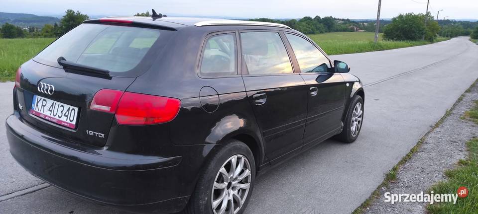 Audi A3 19 TDI 8p sprzedam 2006 r elektryczne lusterka