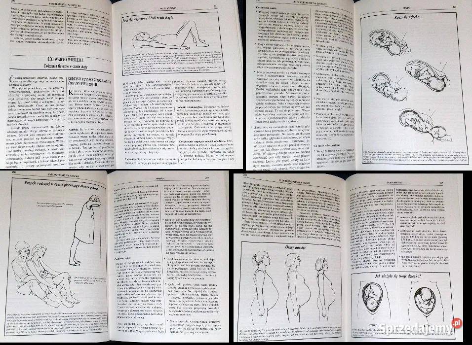 W oczekiwaniu na dziecko A Eisenberg H Murkoff Pozostałe Chełm