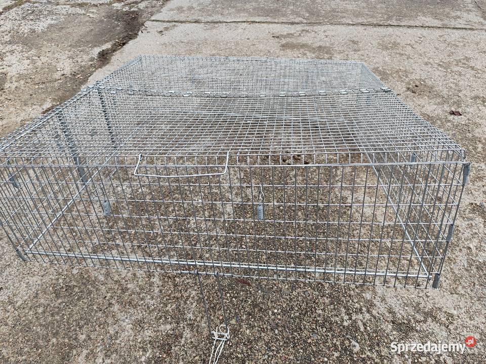 metalowa klatka pułapka na koty Mosty