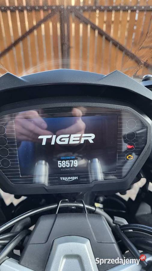 Triumph Tiger 1200 Desert Jarocin