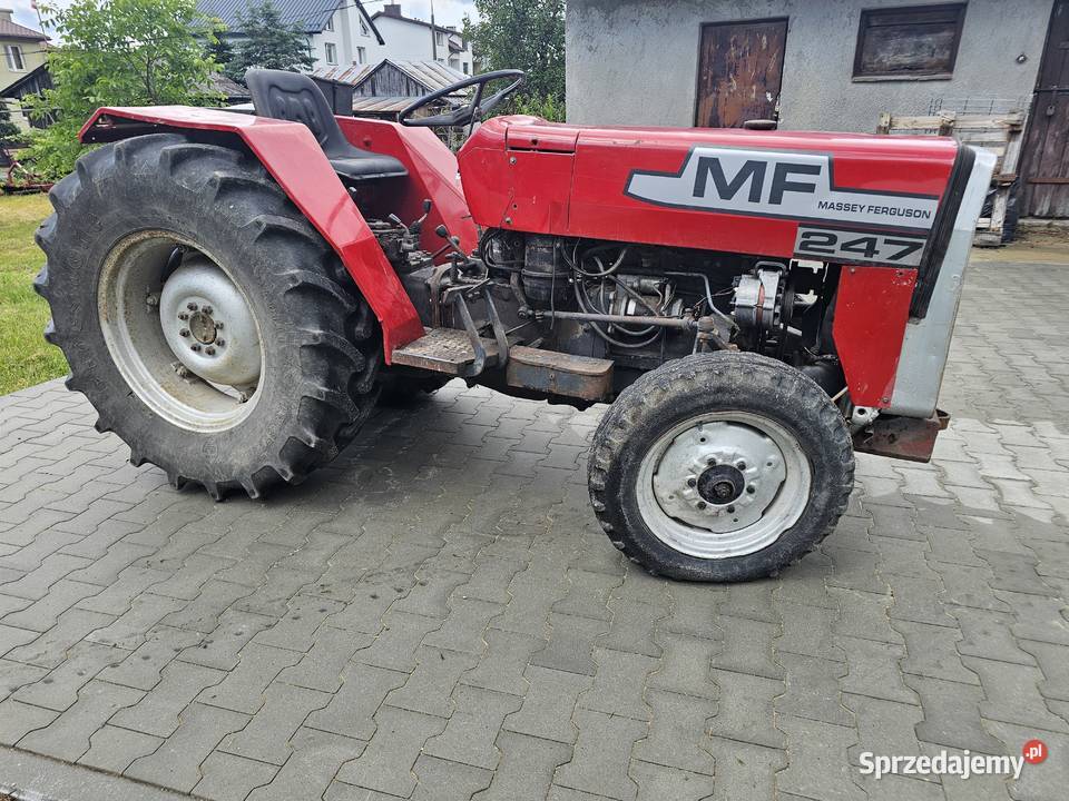 Massey Ferguson 247 Opole Lubelskie
