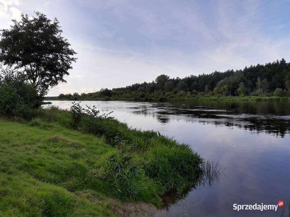 Działka Zambski Kościelne 63zł/m2 mazowieckie