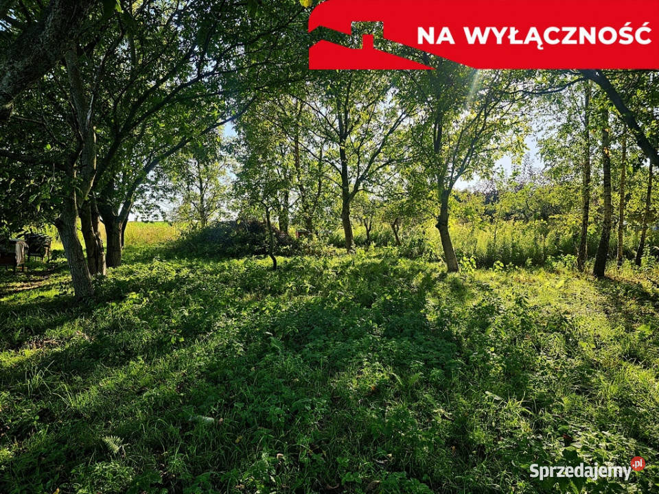 Działka rolna 30ar Smugi gm Jastków sprzedam