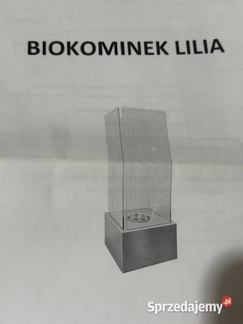 BIOKOMINEK WOLNOSTOJĄCY Kraków