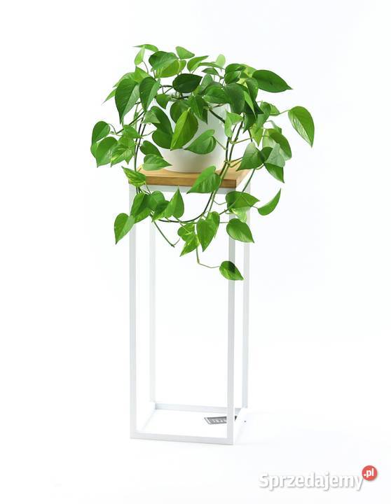 Kwietnik Metalowy Stojący Stojak na kwiaty 60 mazowieckie Sobienie-Jeziory sprzedam