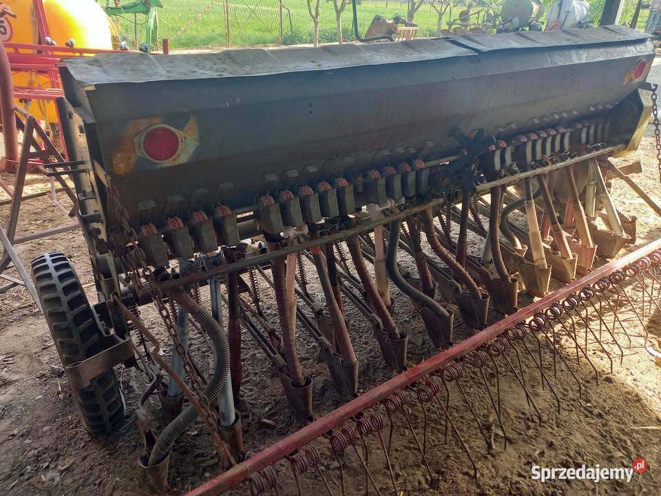 Poznaniak Biała Podlaska