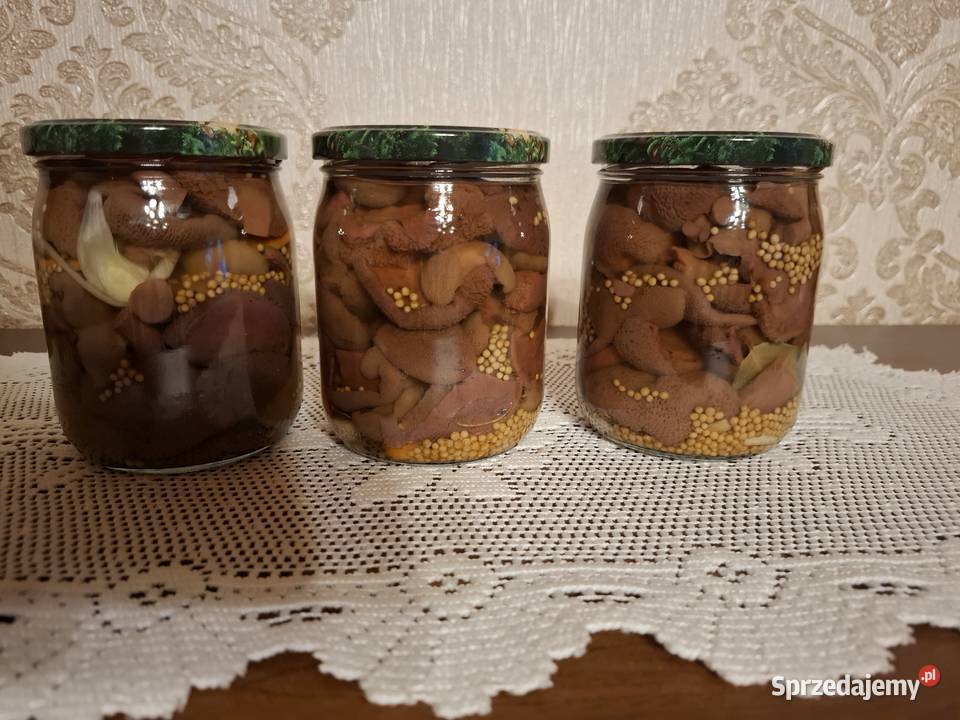 Koźlarzekozaki maślaki zajączki marynowane w