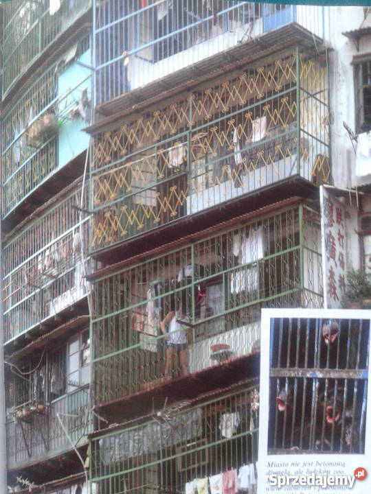 ZWIERZĘ ZWANE CZŁOWIEKIEM Desmond Morris twarda Leszno sprzedam