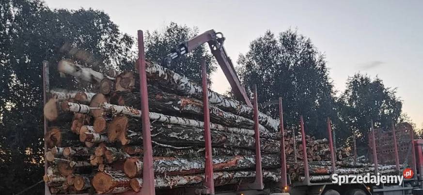 Różne rodzaje drewna opałowegokominkowego Opał Opał warmińsko-mazurskie Olsztynek