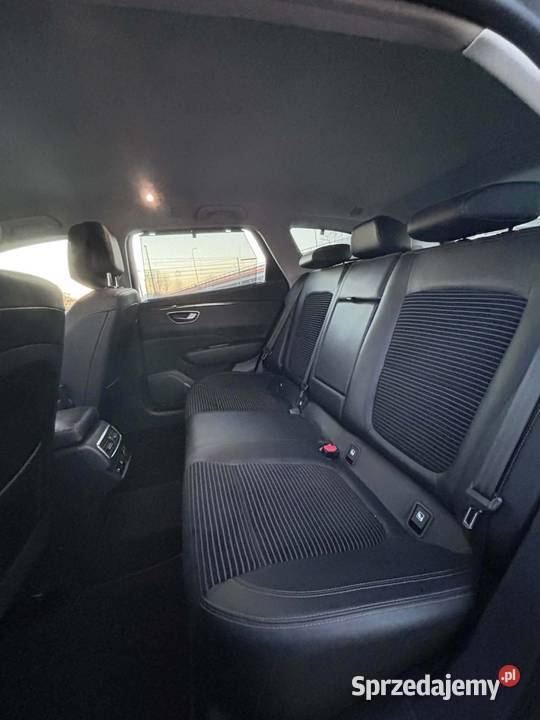 Talisman Skierniewice