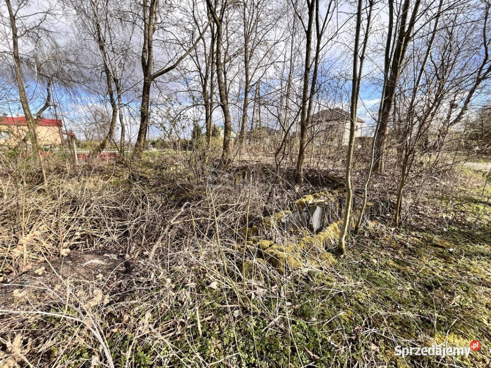 Działka 025 ha z mediamicisza zieleń potencjał lubelskie Horyszów-Stara Kolonia