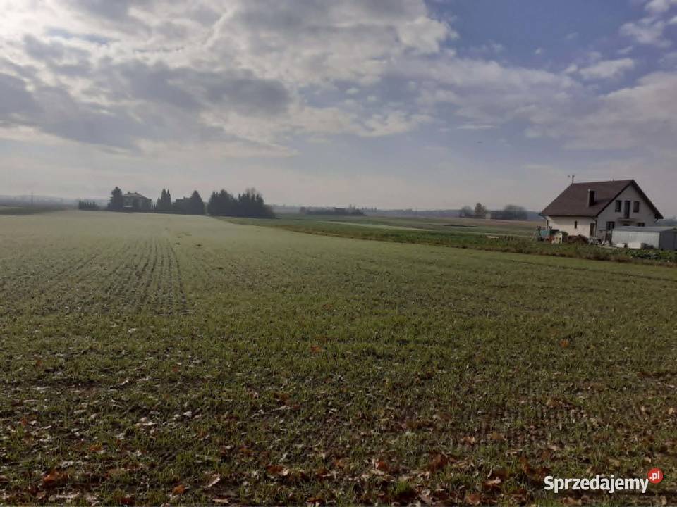 Działka budowlana zagrodowa Wólka Horyszowska Zamość