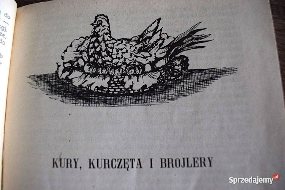 Potrawy z drobiu i dzikiego ptactwa1973 78 Chełmno