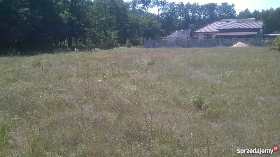 Działka w okolicy Turku Dzierżązna Turek