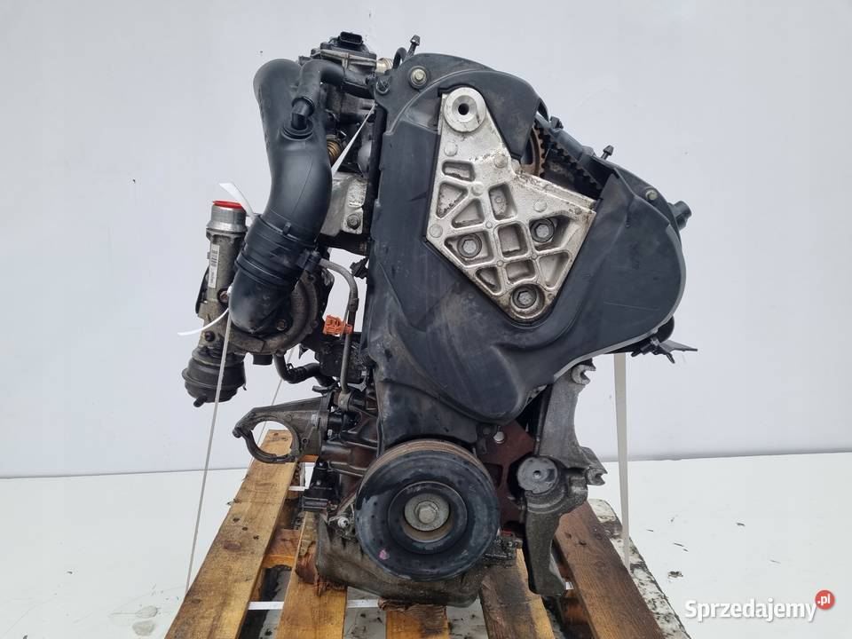 SILNIK KPL Renault Megane III 19 DCI 131 F9Q870 osobowe Janów