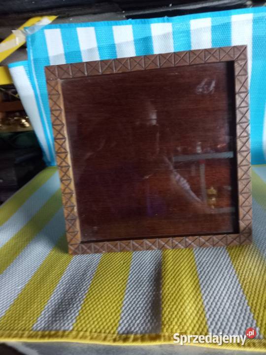 Kwietnik sprzedam kujawsko-pomorskie Borówno