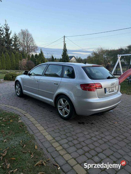 Audi a3 8p lift 20tdi Niedrzwica Duża