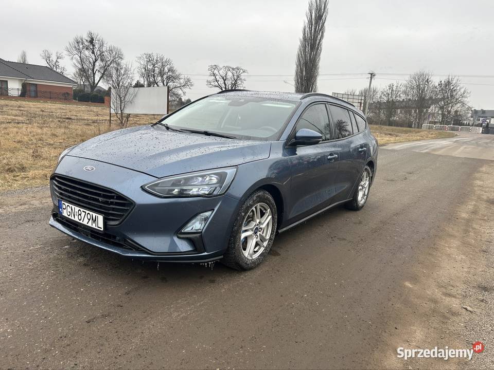 Ford fokus 2019 r 15 d Gniezno