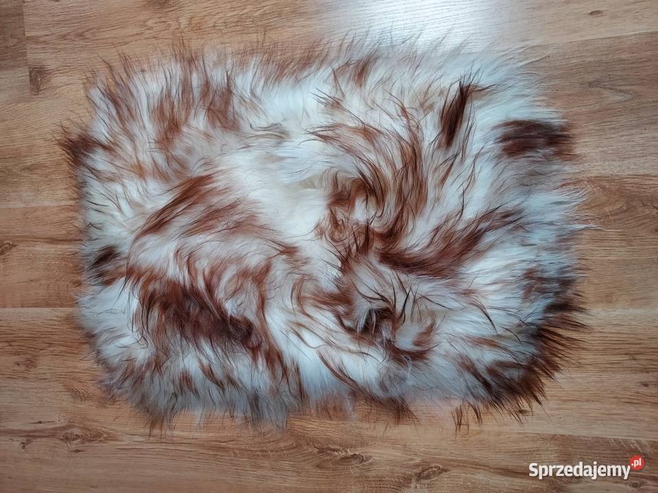 Skóra Owcza Skóry Owcze Dywanik Naturalny Długa Szaflary
