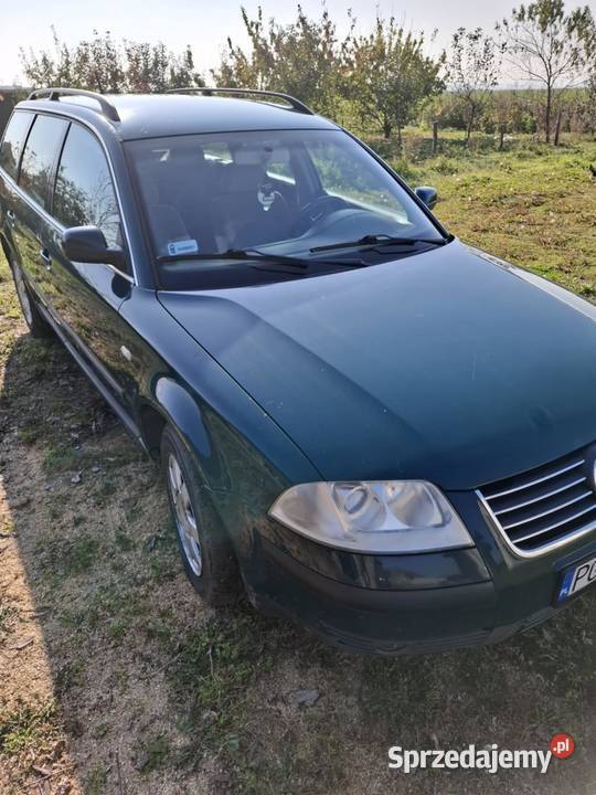 Sprzedam Volkswagena Passata B5 kombi 19 TDI nieuszkodzony wielkopolskie Gostyń