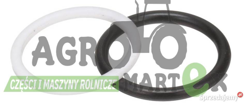 FP506 D2NNN624A 83984290 ZESTAW USZCZELEK CNH Wichrów