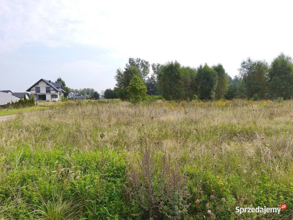 Działka na wsi z miejskimi udogodnieniami Linia