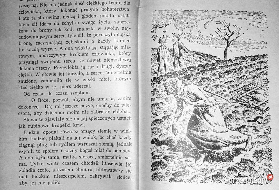 O dwóch takich co ukradli księżyc Kornel Chełm