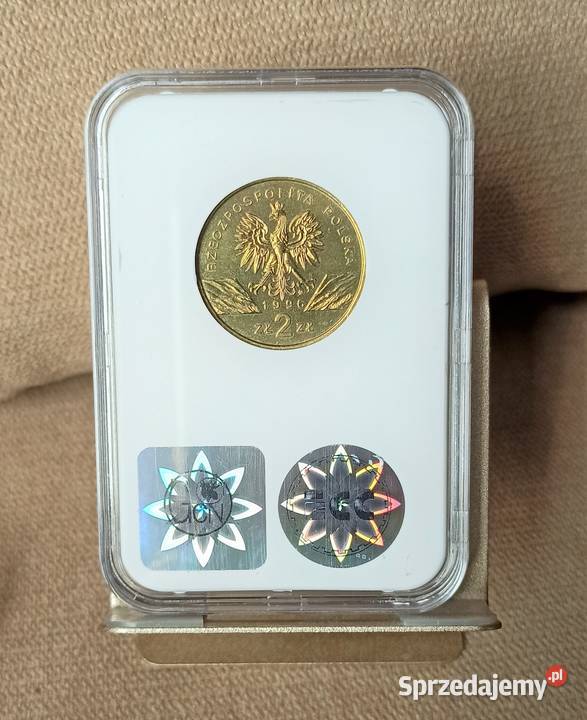2 1997 Jelonek rogacz dolnośląskie Wrocław