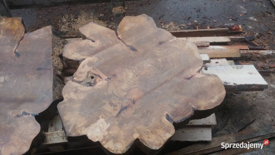 Plastry talary krążki drewna Pieńki na stolik małopolskie Izdebnik