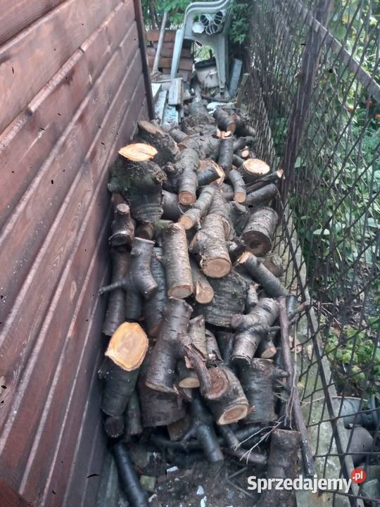 Drewno do wędzenia czereśnia Mysłowice