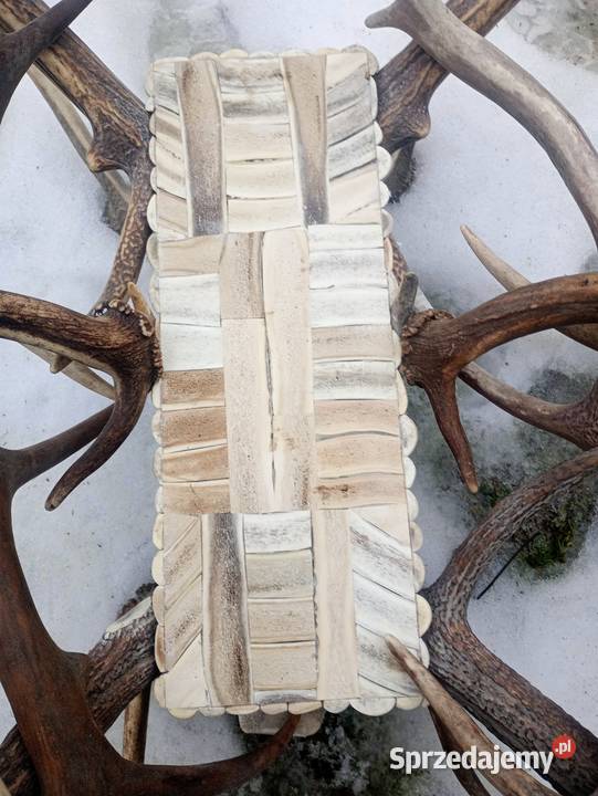 Poroże jelenia Łask