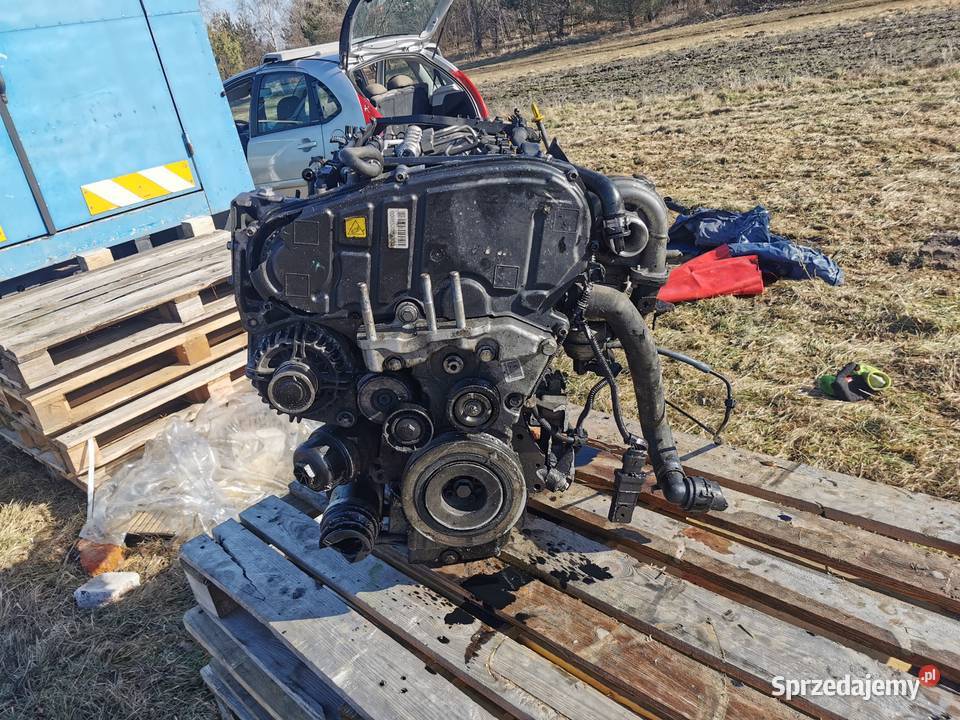 Silnik KOMPLETNY Mito Punto 500L 16 jtd EURO5 Szadkowice