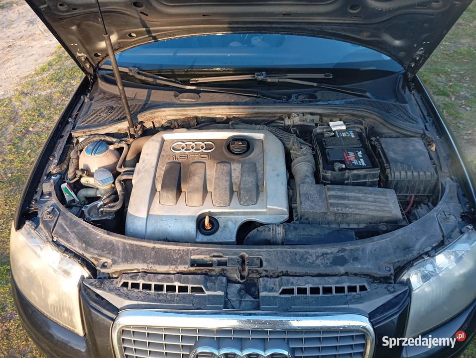 Audi a3 8p części