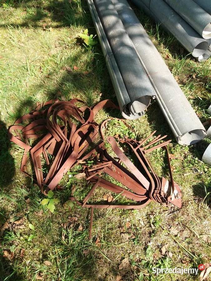 Rurykolankahakilej Nowa Dęba