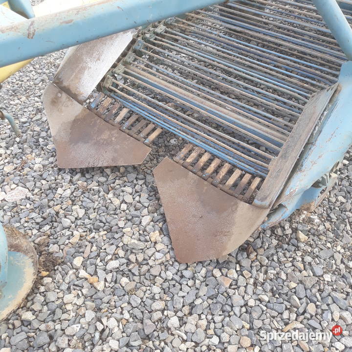 Kopaczka do ziemniaków elewatorowa Claas Nowa Słupia