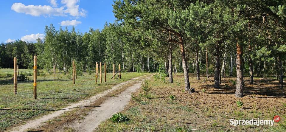 Działka bud Bobrowniki 1076M2 1208M2 WZ dookoła