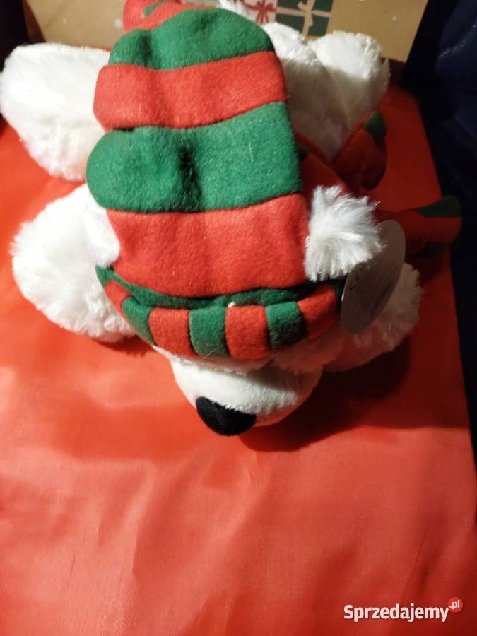 Miś biały w czapce i szaliku dolnośląskie Wrocław