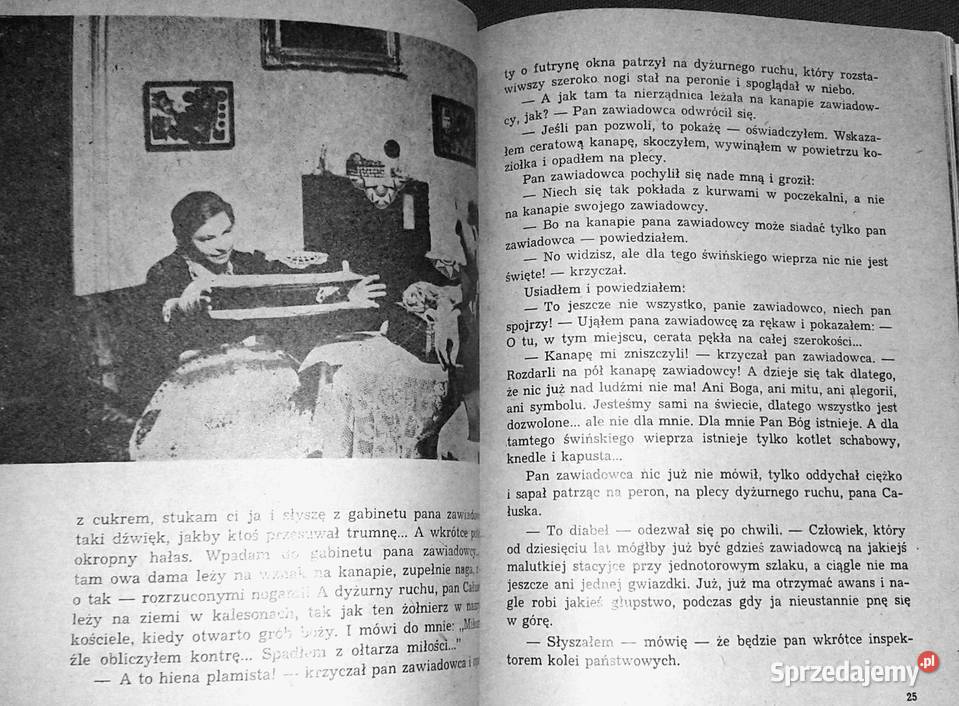 Pociągi pod specjalnym nadzorem Bohumil Hrabal