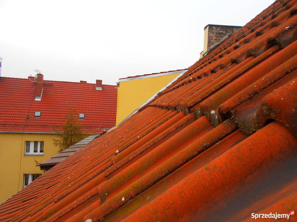 Wspólnota Mieszkaniowa szuka chętnych na Szczecin
