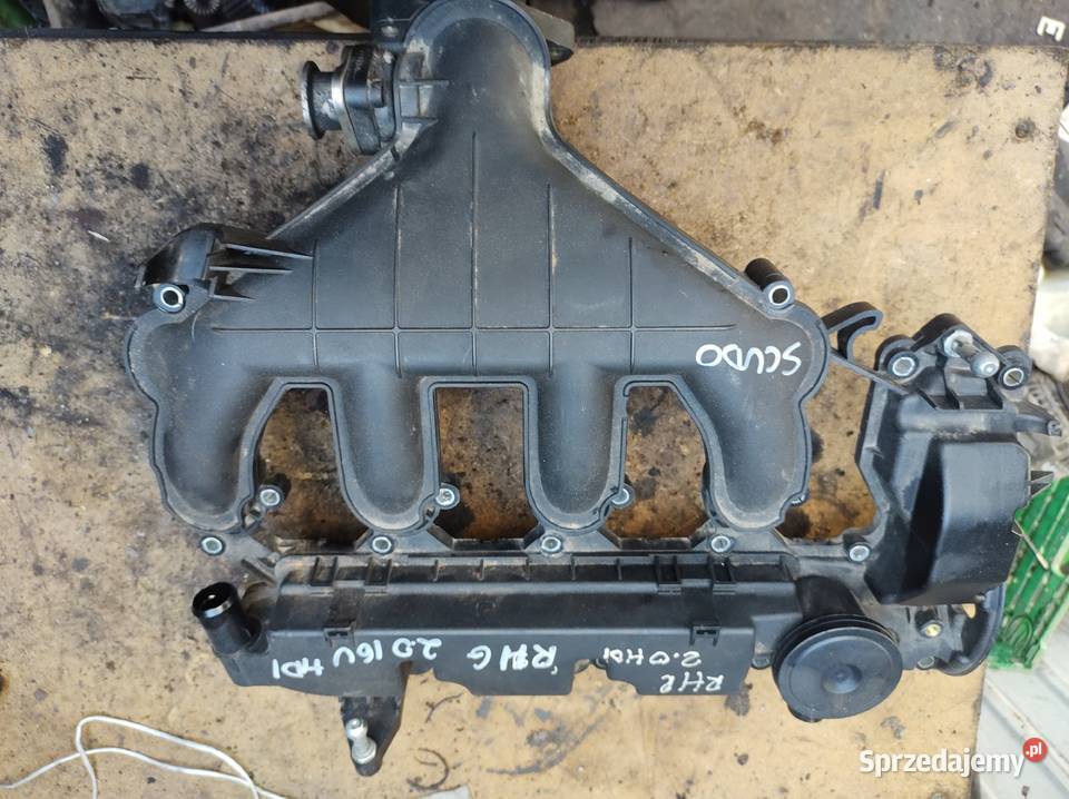 Citroen Peugeot Ford 20hdi kolektor ssący RHR świętokrzyskie Kielce