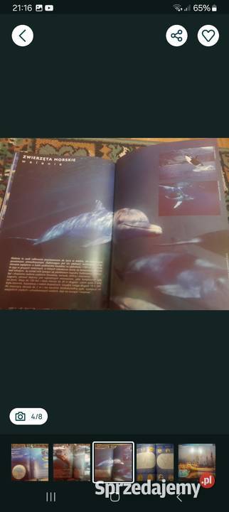 Morza i oceany Atlas Książki i Podręczniki Siemianowice Śląskie sprzedam