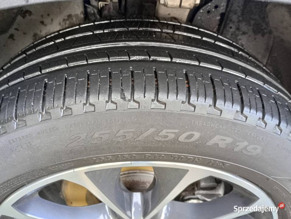 Opony Pirelli Scorpion verde all season Grabie