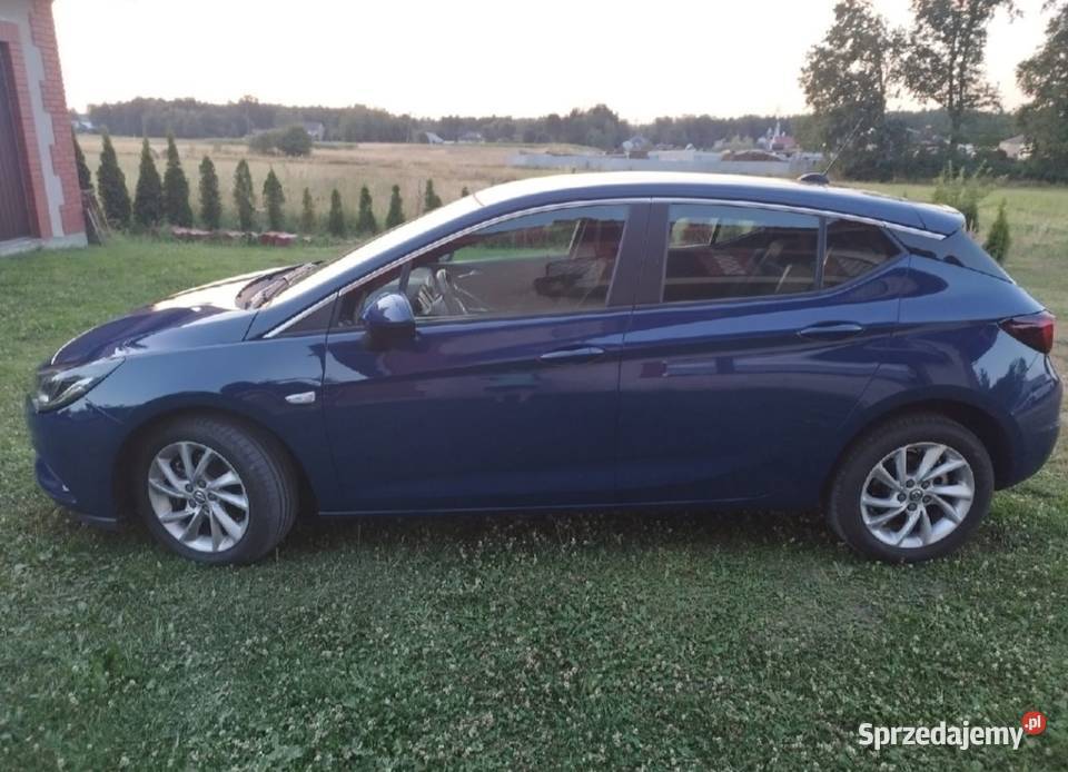 Opel Astra hatchback 2019 1600cm3 Nowe Żukowice sprzedam